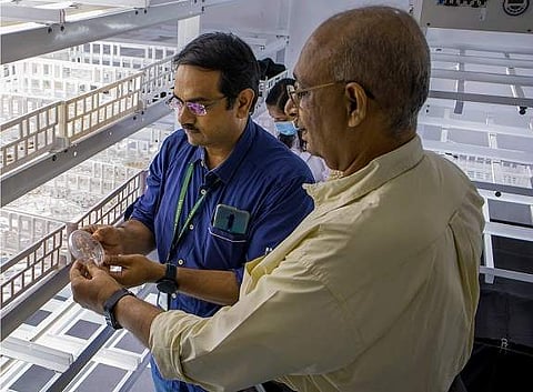 Dr George Thomas (left) and Dr Boney Kuriakose examining rice plants in the greenhouse