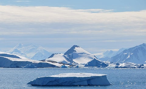 Representative Image | Wikimedia