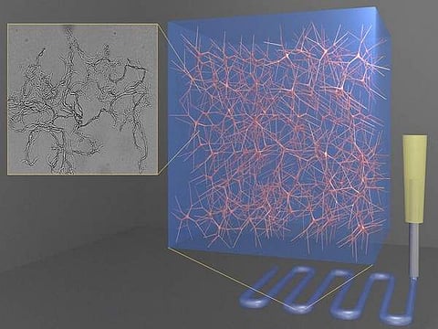 Image for representational purpose only (Pic: ANI)