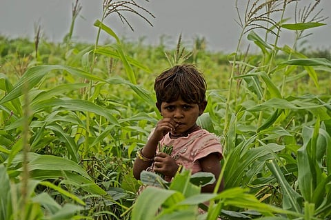 Representative Image | Pic: Flickr