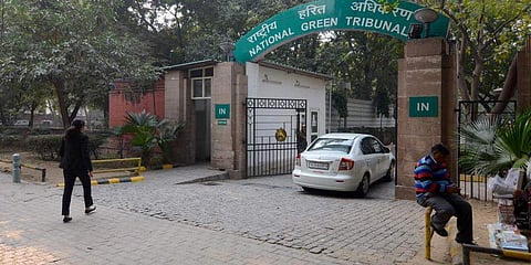 NGT (Pic: File Photo/PTI)