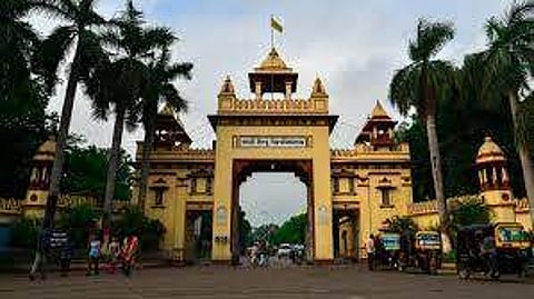 BHU Scientist wrote a letter to the UP Chief Minister, warning him about ill-informed tree plantations