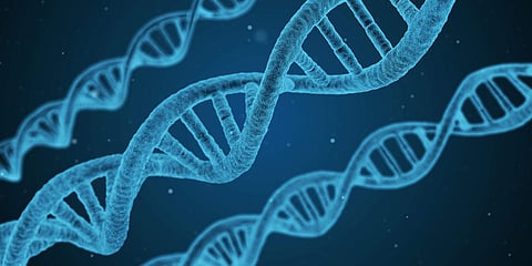 The prediction algorithm, called NBDriver, is based on DNA sequencing technology(Pic: pixabay)