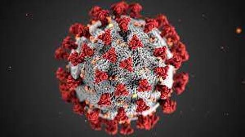 Researchers say they are not sure why certain people are more susceptible than others, limiting development of therapies | (Pic: PxHere)