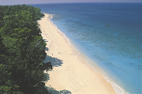 The beach | (Pic: Pankaj Sekhsaria)