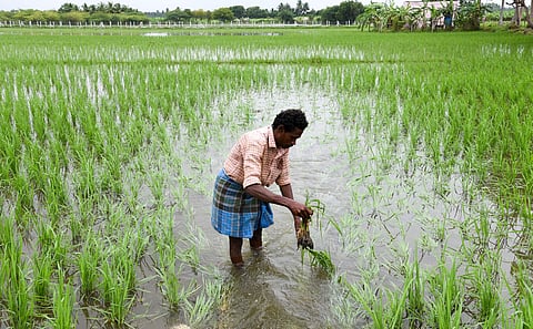 Picture for representational purposes only | (Pic: Express)
