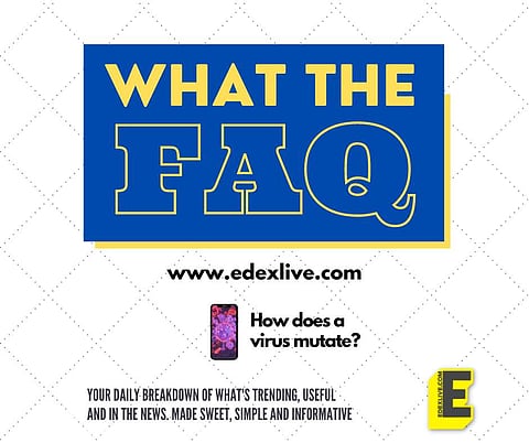 Pic: Edexlive