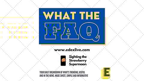 Check it out | (Pic: EdexLive)