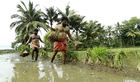 Picture for representational purposes only | (Pic: Express)