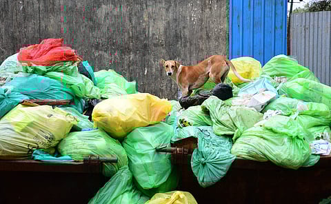 Picture for representational purposes only | (Pic: Express)