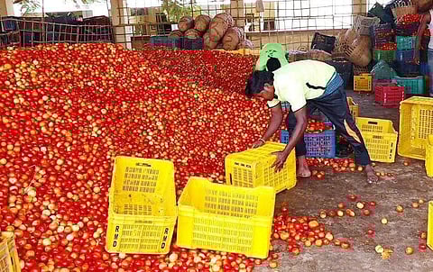 Image for representational purpose only | (Pic: Express)