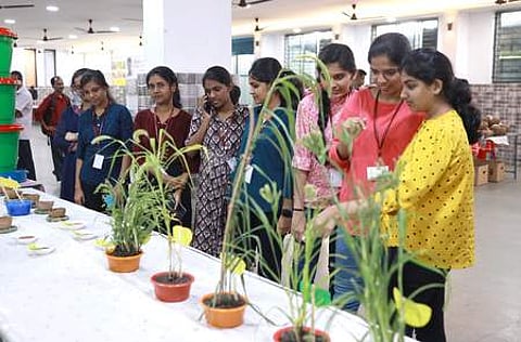 Visitors at the stall of Millets by IHRD Kanthallur at Town Hall | Express Photo by Nishad T Ummer