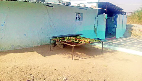 Picture for representational purpose only | (Pic: Express)