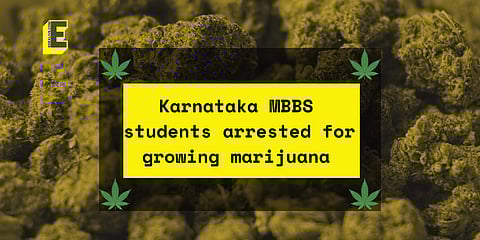The students were growing marijuana in rented apartments, with LED lights for artificial sunlight. | Pic: Edex Live