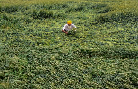 Picture for representational purpose only | (Pic: PTI)