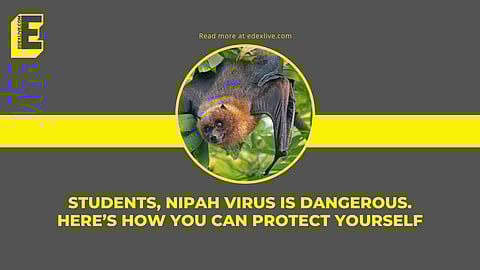 Be careful | (Pic: EdexLive)