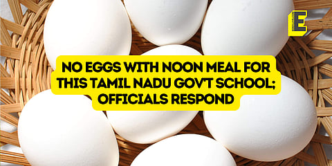 Where are the eggs? | (Pic: EdexLive)