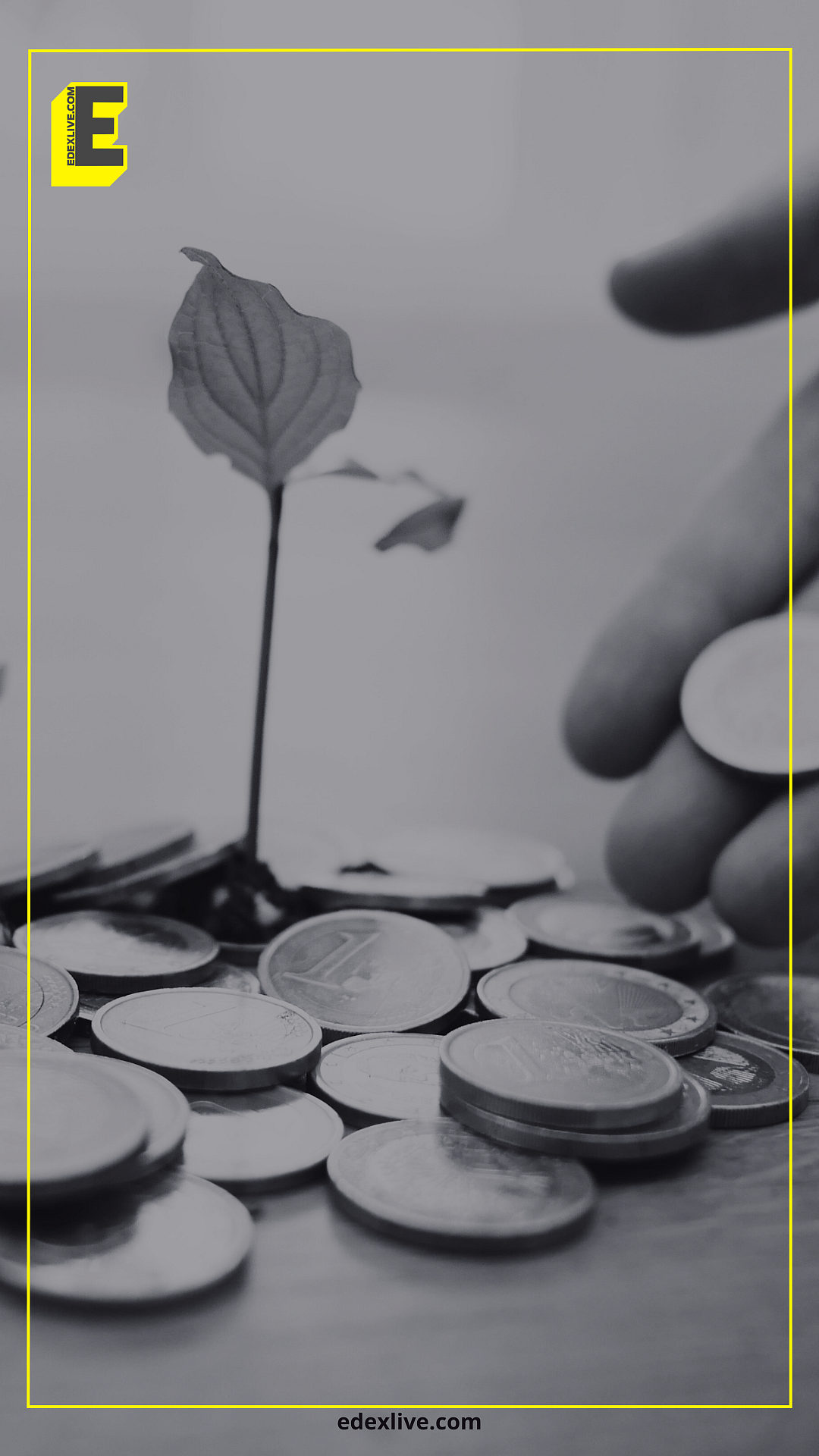 Secure financial stability for your PhD journey by seeking fellowships and TA opportunities early. For programs over five years, check extra support options
