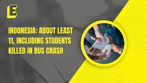 Read on to find out more