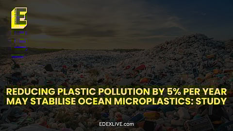 The results showed that a reduction in plastic pollution by more than 5 per cent each year will stabilise