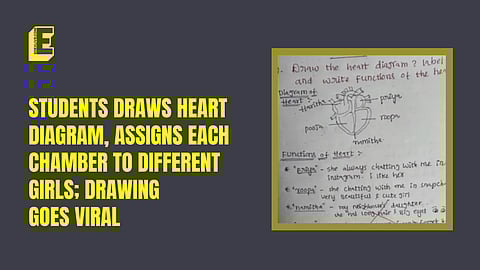 Students draws heart diagram, assigns each chamber to different girls; drawing goes viral