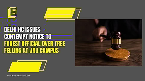 The court's order stems from a 2022 directive requiring tree officers to provide detailed reasons for felling even a single tree