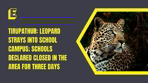 Leopard at a school in Tamil Nadu?