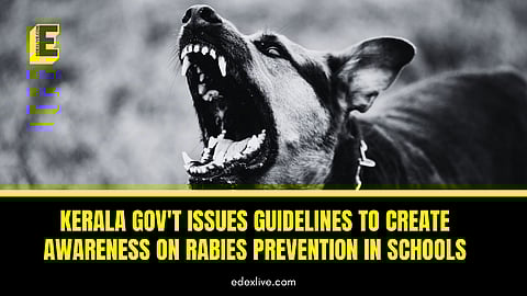 Kerala gov't issues guidelines on rabies prevention
