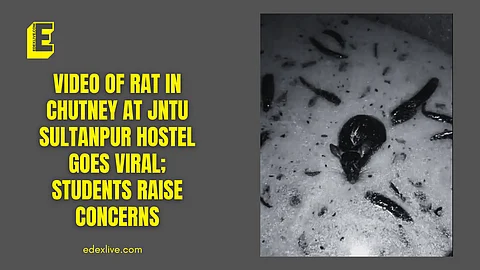 Rat in chutney at JNTUH