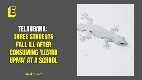 Telangana: Three students fall ill after consuming 'lizard upma' at a school