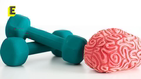 Exercise for better memory: It's not magic, it's sweat!  