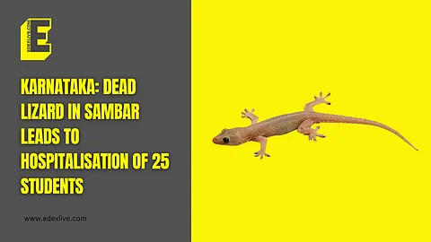 Karnataka: Dead lizard in sambar leads to hospitalisation of 25 students 
