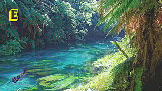 Explore New Zealand