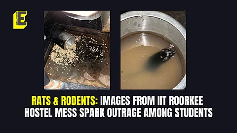 Rats in IIT Roorkee kitchen: “Committed to maintain hygiene,” says institute; students paint a different picture