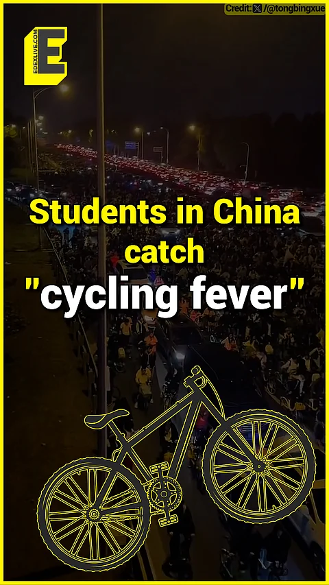 Why are students in China cycling several kms for DUMPLINGS? 