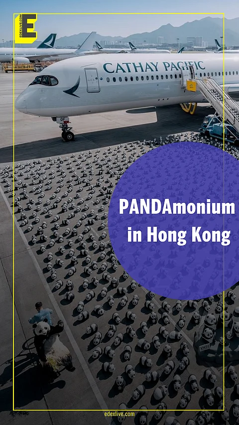 Hong Kong is throwing a Panda Party and you are invited!