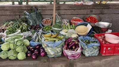 Vegetable garden