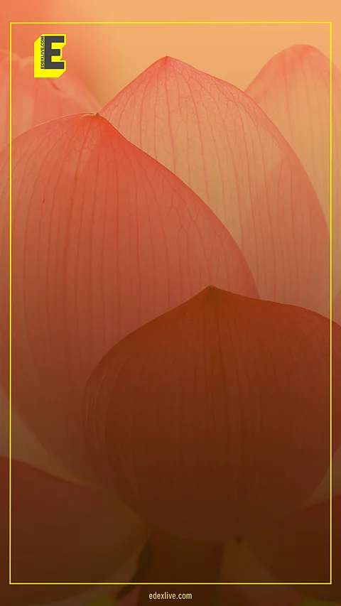 The lotus has finally bloomed in Delhi after 27 years!