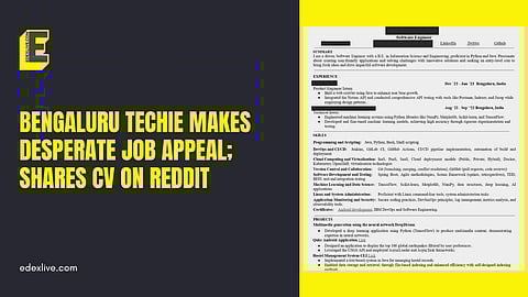 Desperate job search?