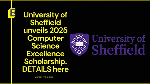 University of Sheffield Computer Science Excellence Scholarship