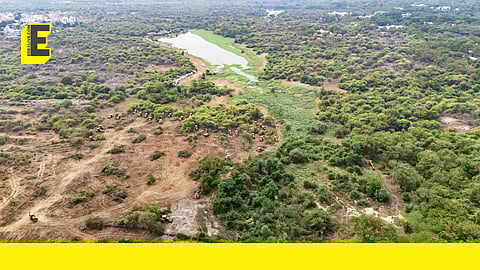 HCU: Opposition grows against clearing of 400-acre land in Kancha Gachibowli; Prakash Raj, Dhruv Rathee extend support