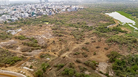 A look at the land in question