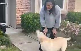Sunita Williams with her dogs.