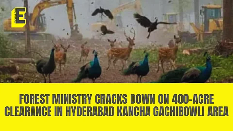 A picture that is going viral on social media shows the wildlife of the area being under threat.