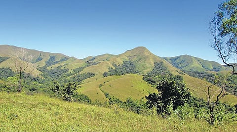 Western Ghats 