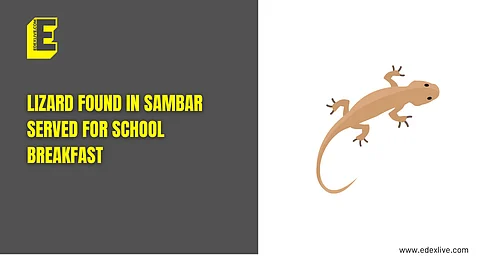 Lizard found in sambar served for school breakfast