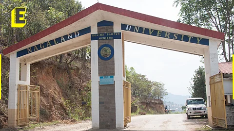 Nagaland University