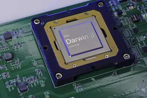 Darwin Monkey