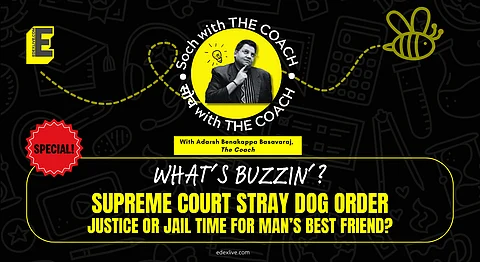 Delhi stray dog ruling 2025