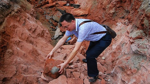 Dinosaur eggs in China dated to 86 million years using uranium-lead method